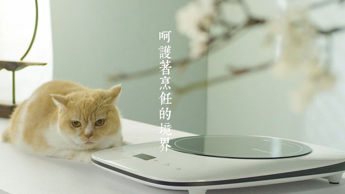 九阳石韵电磁炉